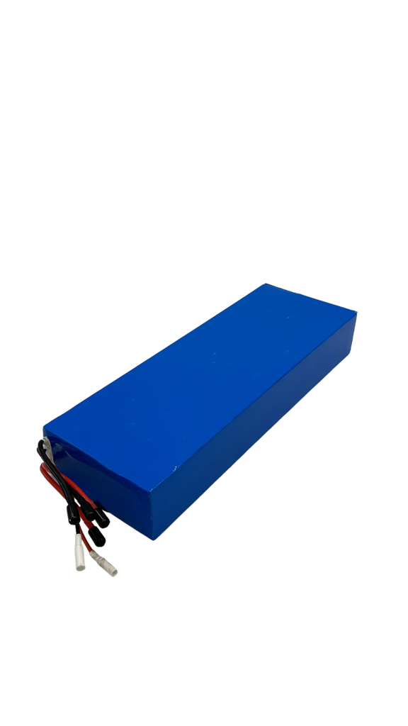 Batterie Dualtron Forever 60 V 18 Ah — pack assemblé et ses câbles Batterie Dualtron Forever 60 V 18 Ah — pack assemblé et ses câbles