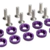 Dix vis à tête fraisée et dix rondelles cuvette violettes disposées côte à côte