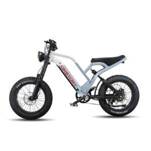 Viketory Navy — fat bike électrique 20″, 250 W et 80 Nm, batterie 720 Wh