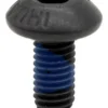Vis noire à tête bombée vue de face, frein-filet bleu sur le filetage Vis noire à tête bombée vue de face, frein-filet bleu sur le filetage
