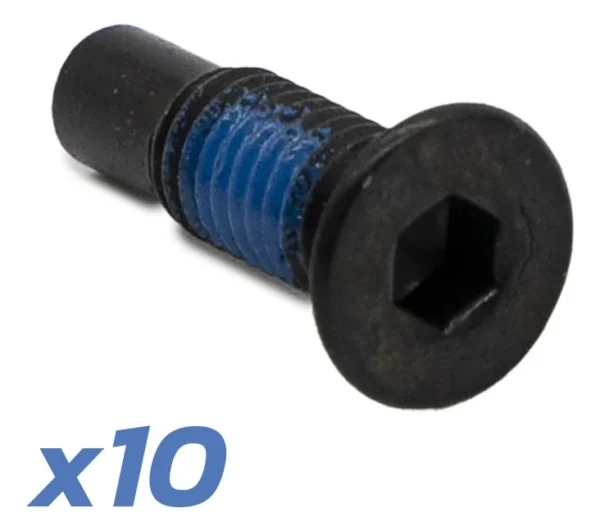 La même vis en gros plan, avec la mention « x10 » qui indique le nombre de pièces du lot.